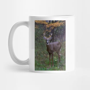 Prince II - White-tailed Buck Mug